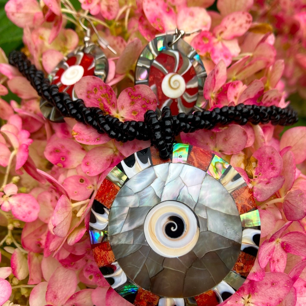 Beautiful Shell and Abalone Necklace and Earrings